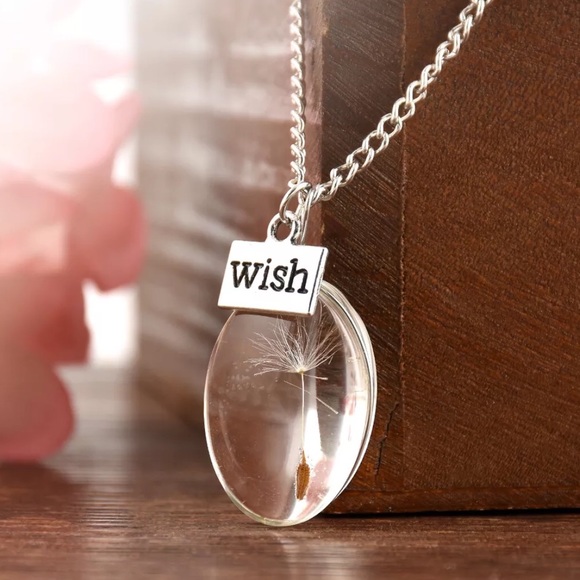 Jewelry - Make a wish glass dandelion seed silver necklace